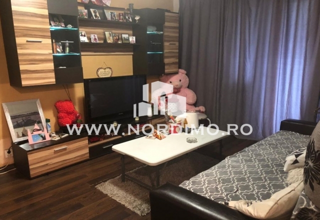 Apartament 2 camere, renovat, Drumul Taberei