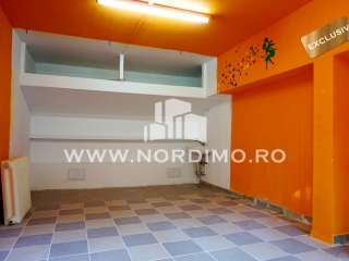 Garaj pretabil spatiu comercial