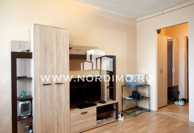 Garsoniera cocheta, confort 1, Sibiu-Dr. Taberei