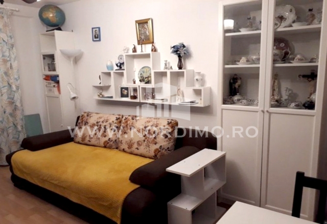Apartament cochet 2 camere, Romancierilor